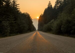 Sun setting in the background of a road surrounded by trees