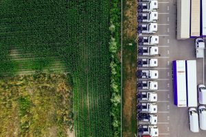 trucks in field