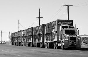 semi truck accident