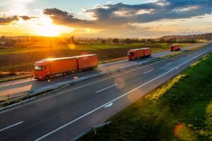 Best Business Structure For A Trucking Business