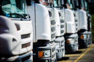 Trucks are parked closely in a storage area, their front designs shining in the midday sun.