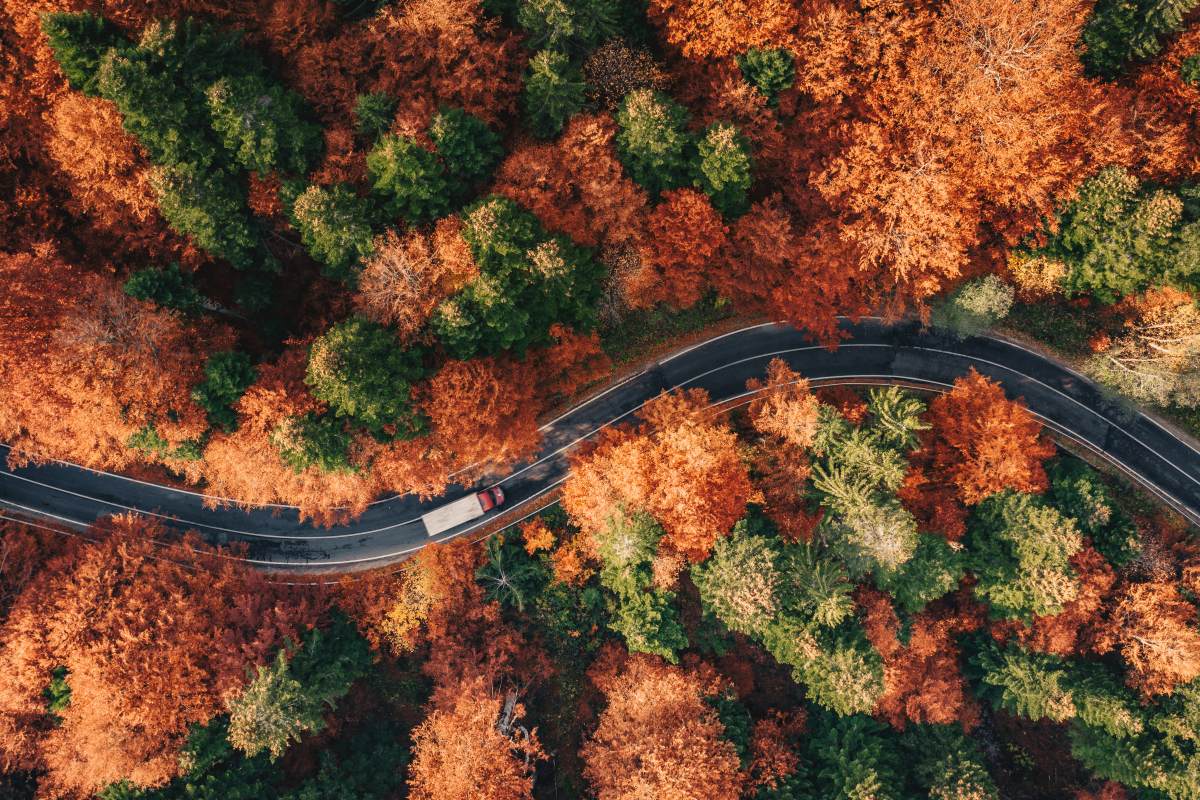 Winding road in the forest in the fall with truck on the road
